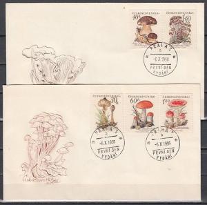 Czechoslovakia, Scott cat. 882-886. Mushrooms on 2 First day covers.