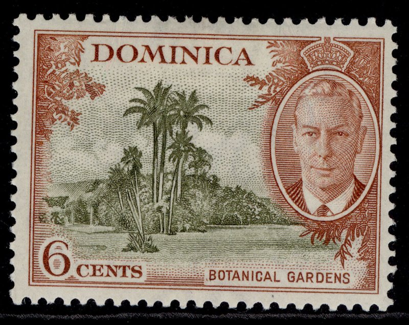 DOMINICA GVI SG126, 6c olive & chestnut, M MINT.