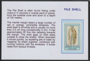 MARINE LIFE - FILE SHELL  mounted on glossy card with text