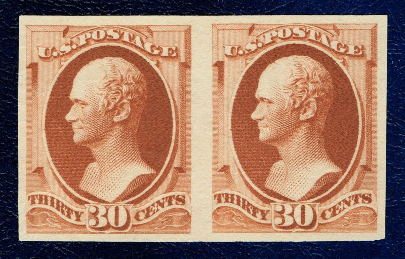 [sto121] 1888 Scott#217P5 30¢ IMPERF PAIR ON STAMP PAPER VF cv:$1,750