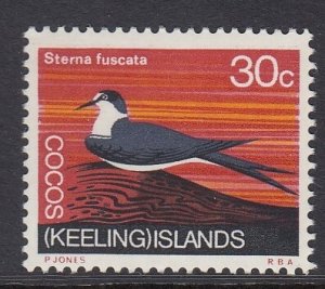 Cocos Islands 17 Sooty tern bird mnh