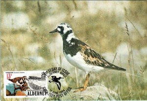 Alderney 13-17 Set of Five Maxi Cards U/A FDC