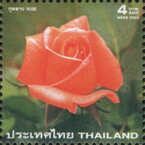 2004 - Thailand - Rose 2004