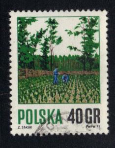 Poland 1967  used  forestry management 40g.  #
