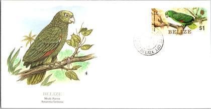 Brazil, Worldwide First Day Cover, Birds