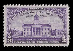 # 838 MINT NEVER HINGED IOWA TERRITORY CENTENNIAL VF+