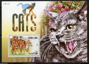 SIERRA LEONE 2015 CATS SOUVENIR SHEET MINT NH