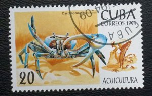 CUBA Sc# 3572  MARINE LIFE fish ocean sea 20c 1994  used / cto