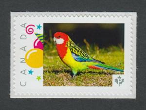 colourful  PARROT exotic bird Picture Postage Canada 2014 p76bd5/5