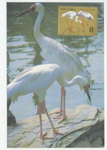 Maximum card China 1986 Bird - White crane 