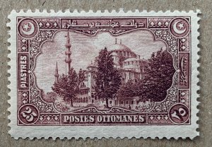 Turkey 1920 25pia Mosque of Suleiman, unused. Scott 597, CV $4.00.  Isfila 940