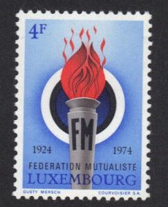 Luxembourg  MNH  1974 Mutual insurance federation complete