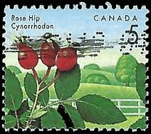 CANADA   #1352 USED (4)