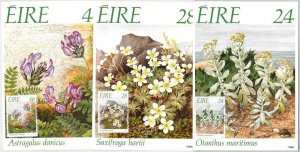57271 - IRELAND EIRE - POSTAL HISTORY:set of 3 MAXIMUM CARD 1988 - FLOWERS-