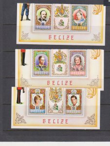 Belize-Scott # 732-737 MNH  Partial Sheets-British Royalty