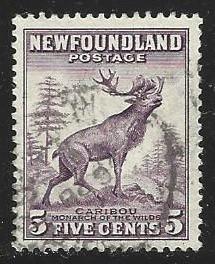 Newfoundland #190 Used Antlers Even Die I (U5)