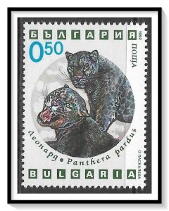 Bulgaria #3737 Wild Cats MNH