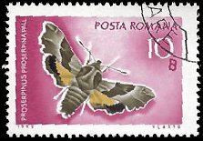 ROMANIA   #2104 USED (1)