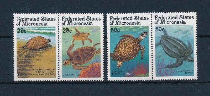 [52019] Micronesia 1991 Marine life Turtles MNH