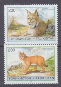 1996 Tajikistan  98-99 Cats 5,00 €