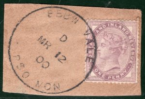 GB Wales RAILWAY SUB-OFFICE 1d Lilac *EBBW VALE RSO MON* 1900 Piece RARE REDG57