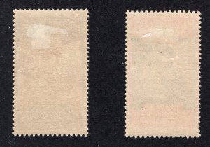 New Caledonia 1928 2c & 5c Sambar Postage Due, Scott J19, J21 MH, value = 85c