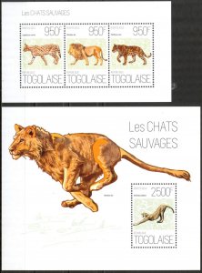 Togo 2013 Animals Wild Cats Leopards Lions Cheetah Sheet + S/S MNH