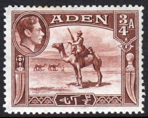 Aden KGVI 1939 3/4a Red-Brown SG17 Mint Hinged