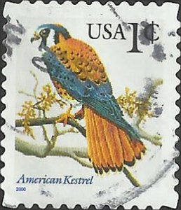 # 3031A USED AMERICAN KESTREL