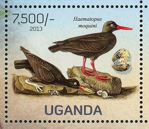 Birds Stamp Rynchops Flavirostris Haematopus Moquini Psittacus S/S MNH #3010-301