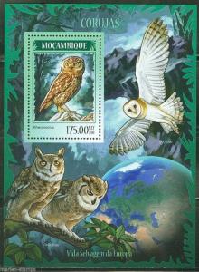 MOZAMBIQUE 2014 OWLS   SOUVENIR SHEET  MINT NH