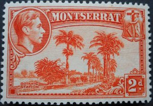 Montserrat 1938 GVI 2d p12 SG 104 mint