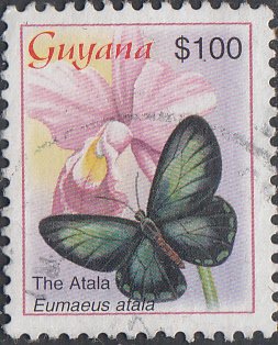 Guyana #3783   Used