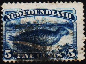 Newfoundland. 1880 5c  S.G.59a Fine Used