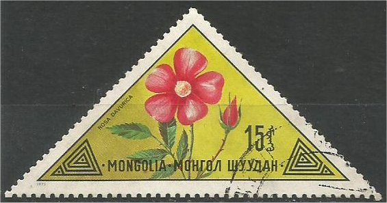 MONGOLIA, 1973, CTO 15m, Flowers Scott 745