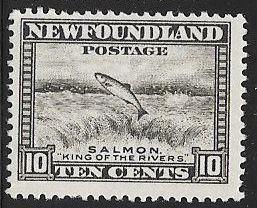 Newfoundland 193 Unused/Hinged - Salmon