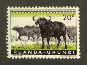 Ruanda Urundi 1959 Scott 138 MH - 20c, Bubalus