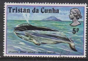 Tristan Da Chuna 204 Used Bin 25898