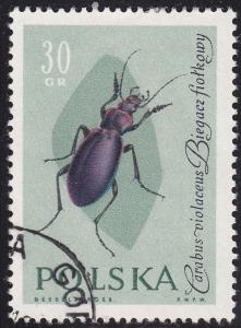 Poland 1030 Violet Runner 1961