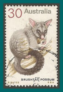 Australia 1974 Animals, used  568,SG563