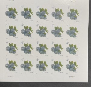 US 2020 Blueberries pane of 20 # 5652 mint