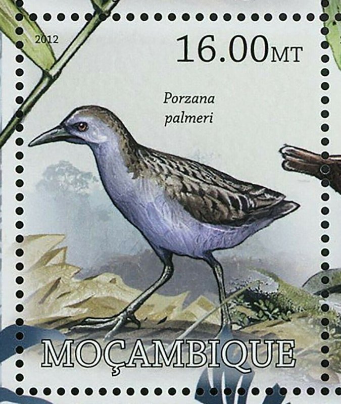 Birds Stamp Quiscalus Palustris Gallirallus Wakensis S/S MNH #5718-5725