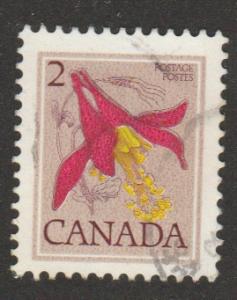 707 Western Columbine