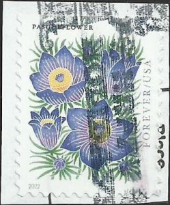 # 5676 Used Mountain Flora