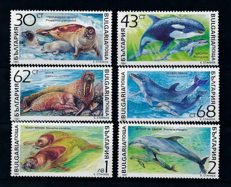 [99333] Bulgaria 1991 Marine Life Whales Seal  MNH