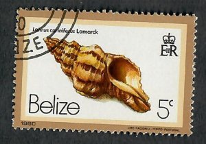 Belize #475 Sea Shells used single