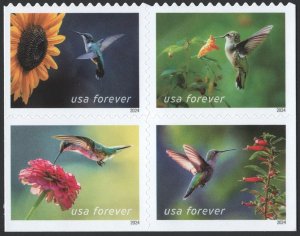 NEW ISSUE (Forever) Garden Delights Booklet Block of Four (2024) SA