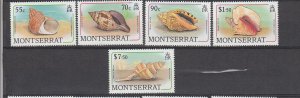 J40842 JL Stamps 1988 montserrat part of mnh #687-9,692,695 sea shells