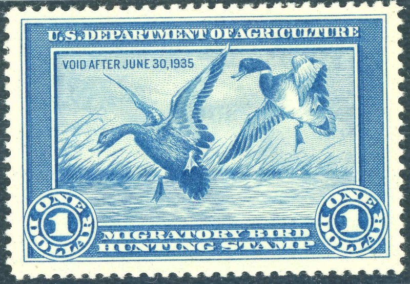 RW1 1934 FEDERAL DUCK STAMP GRADE 90 XF NH. LARGE MARGINS