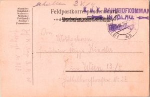 Austria Soldier's Free Mail 1916 Iglau Feldpostcard to Wien with sl K.u.K. Ba...